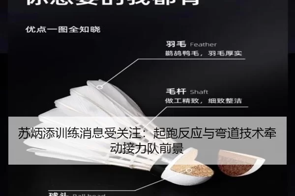 苏炳添训练消息受关注：起跑反应与弯道技术牵动接力队前景